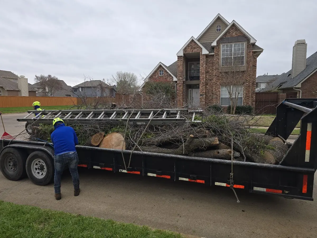 Expert Lot Clearing with proper safety equipment in Hoople